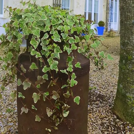 La Clef Des Champs Saint-Mard (Charente-Maritime)